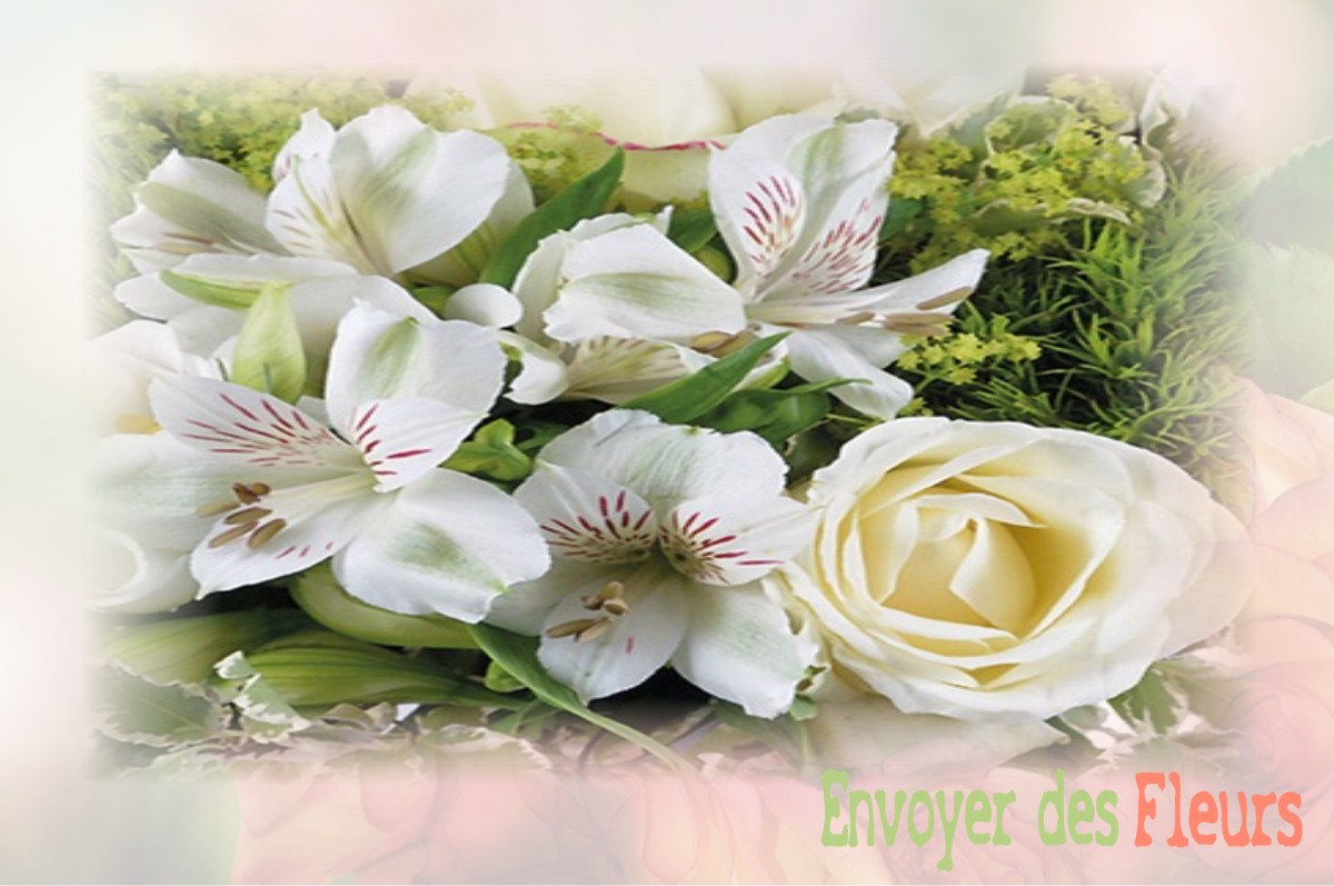 envoyer des fleurs à à BAINVILLE-AUX-MIROIRS